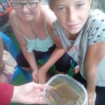 «Ау нас Медовый Спас!»