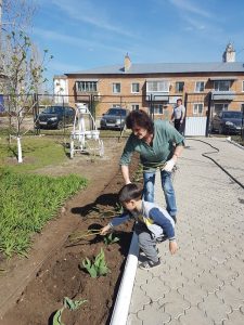Аллея алых роз ко Дню Победы
