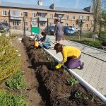 Аллея алых роз ко Дню Победы