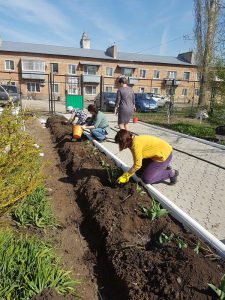 Аллея алых роз ко Дню Победы