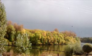 В Пугачевском КЦСОН завершился виртуальный фото-конкурс осеннего пейзажа «Очей очарованье»