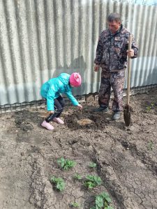 Сажать весной деревья – стало доброй традицией КЦСОН Пугачевского района