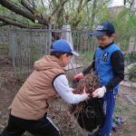 Волонтеры и сотрудники соцучреждения Пугачевского района провели акцию «Неделя добра» на Поклонном кладбище