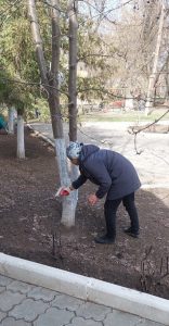 В центре соцобслуживания привели в порядок территорию после окончания зимнего периода