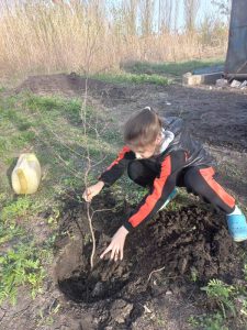 Получатели социальных услуг и сотрудники центра соцобслуживания Пугачевского района присоединились к акции «Сад Памяти»